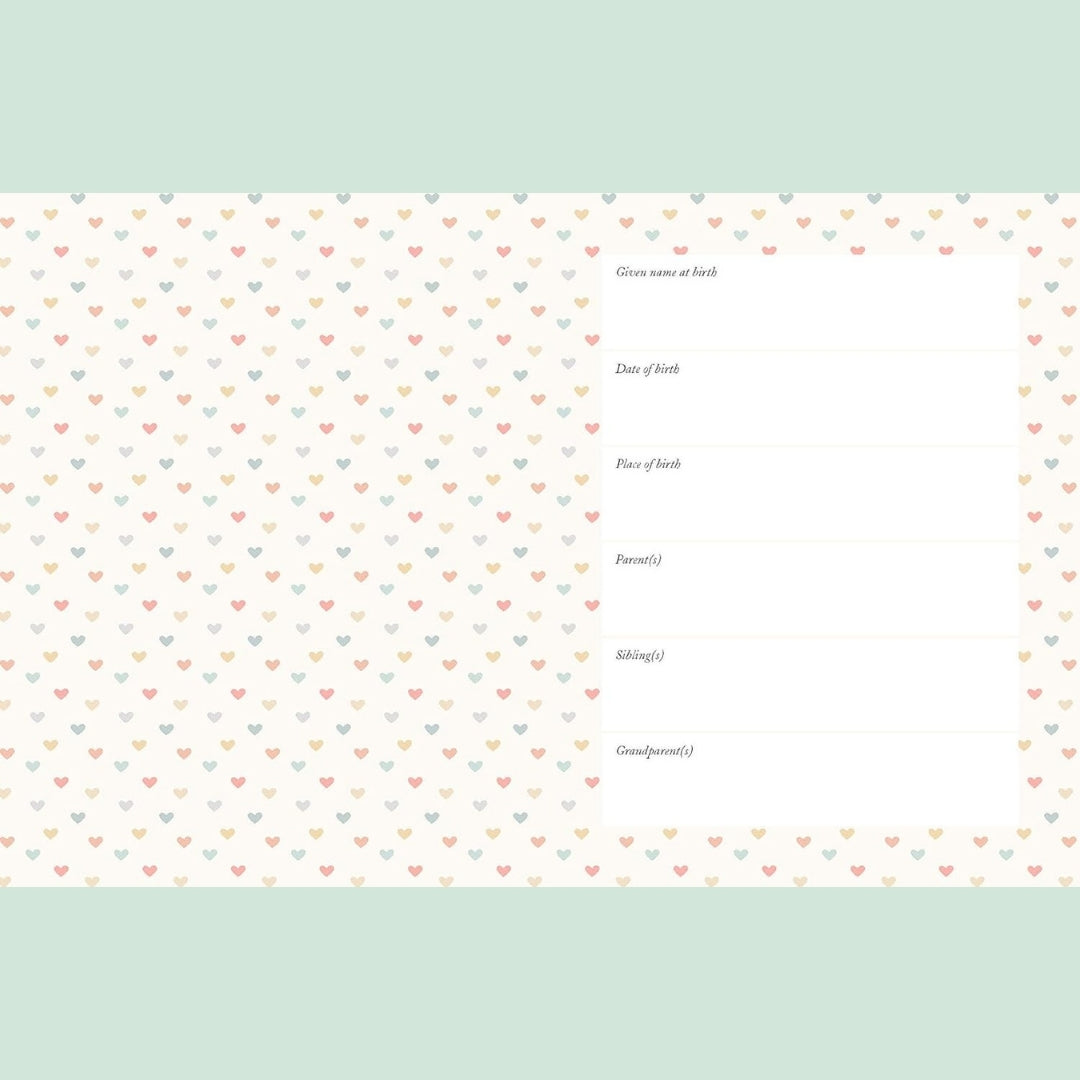 A Baby's Memory Record Book - Joanna Gray