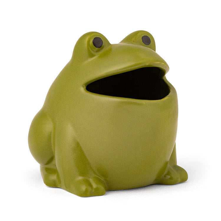 Green frog-shaped Kikkerland Froggy Fly Trap