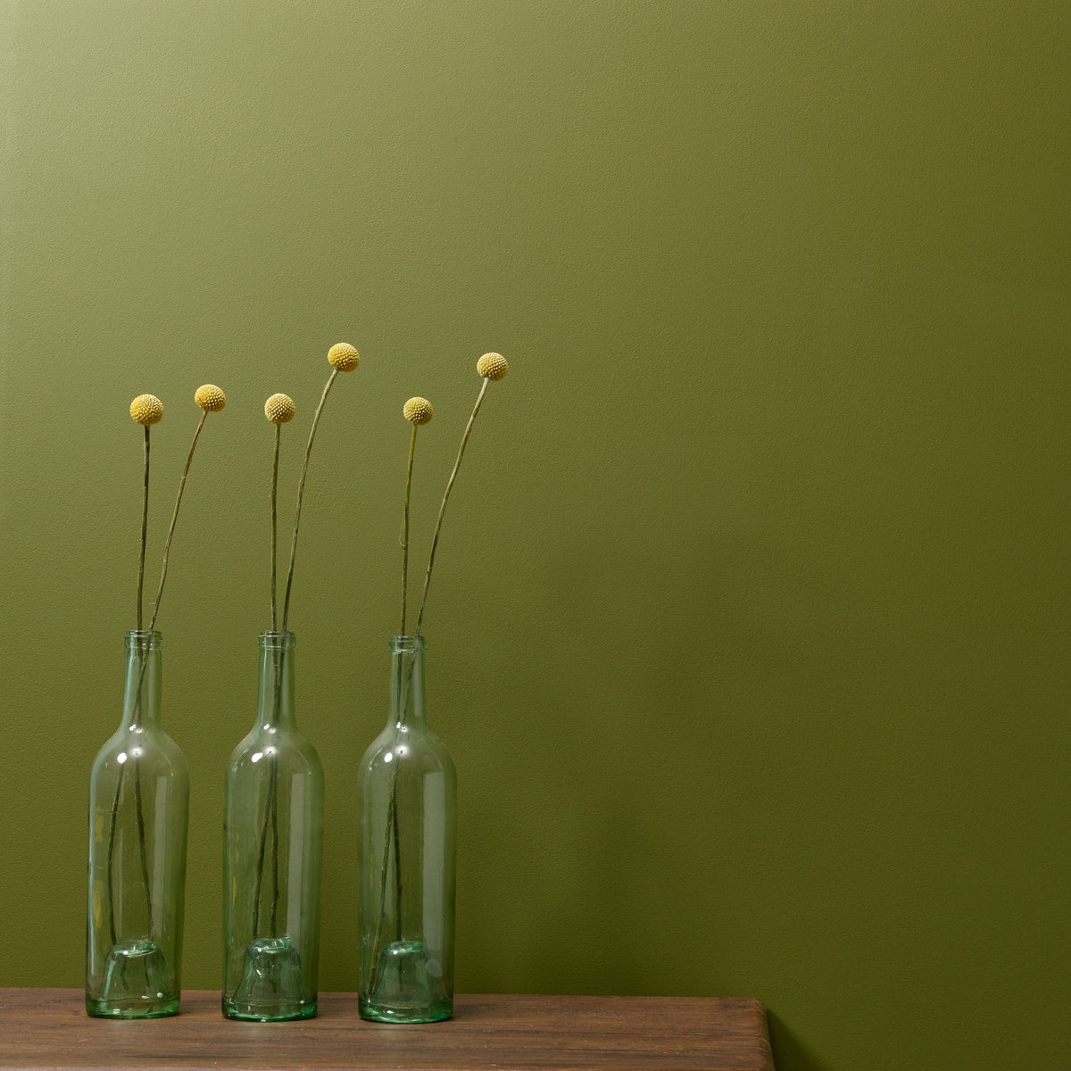 Constance Moss - Peel and Stick Paint Sample