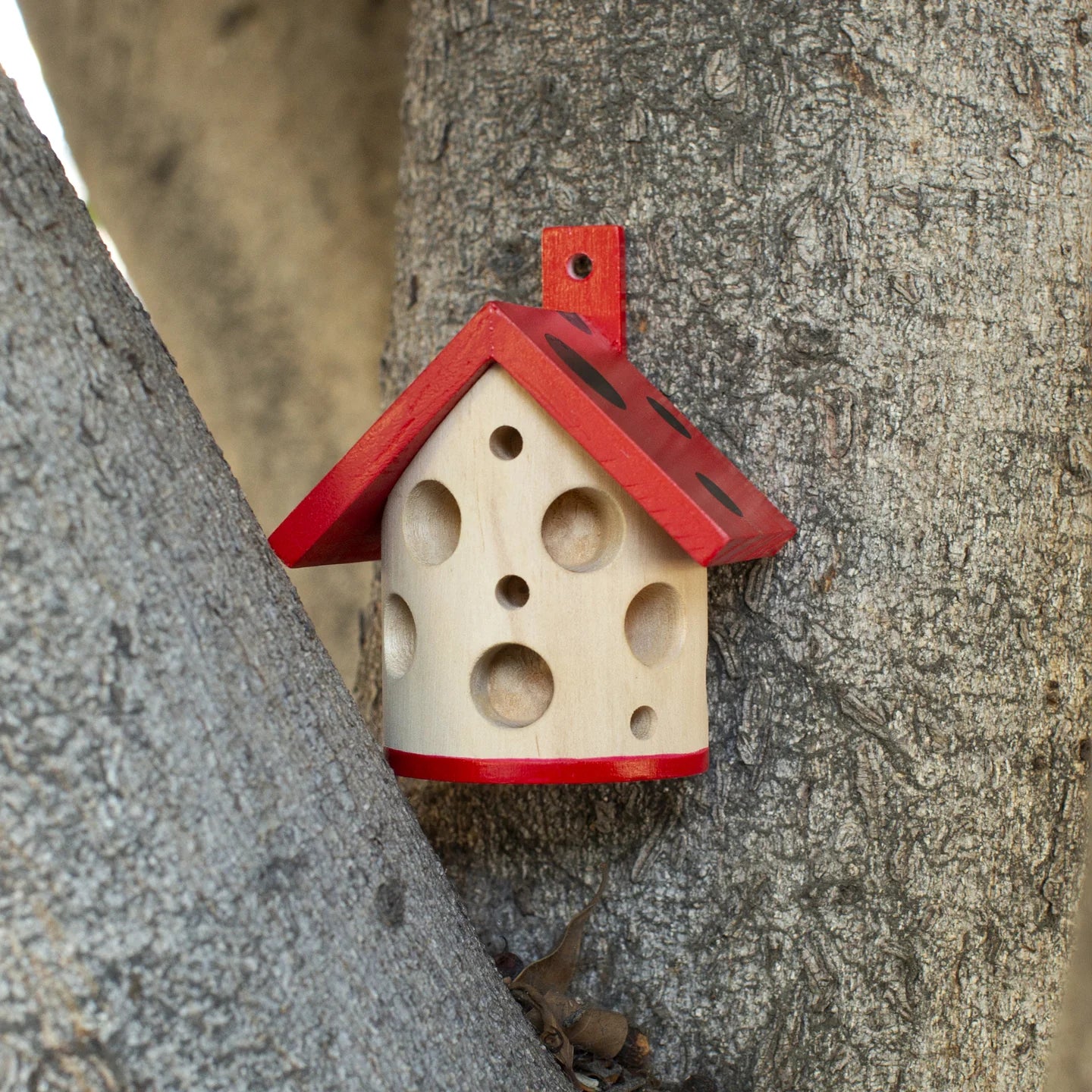 Fab Gifts | Kikkerland Ladybug House by Weirs of Baggot Street