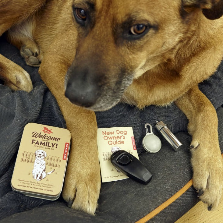 Fab Gifts | Kikkerland Welcome To The Family Dog Kit by Weirs of Baggot Street