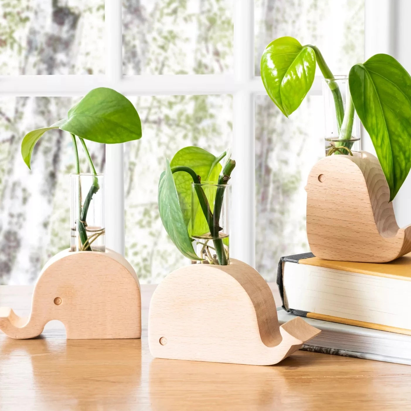 Fab Gifts | Kikkerland Whale Propagation Vase by Weirs of Baggot Street