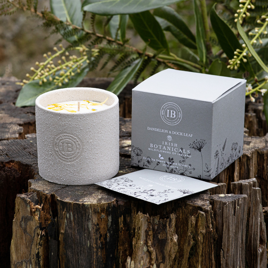 Fabulous Gifts Irish Botanicals Wildflower Dandelion & Dock Leaf Ceramic Candle by Weirs of Baggot Street