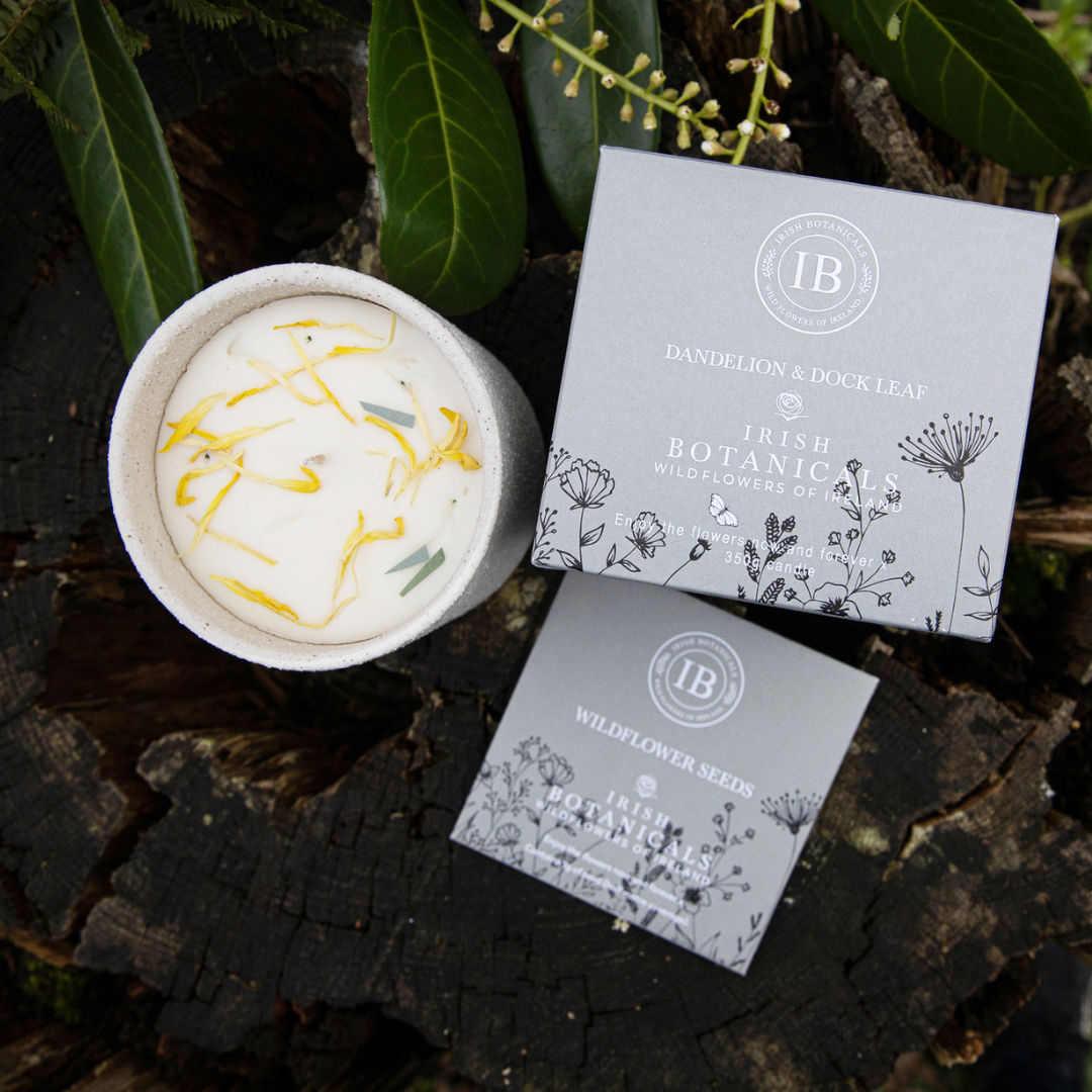 Fabulous Gifts Irish Botanicals Wildflower Dandelion & Dock Leaf Ceramic Candle by Weirs of Baggot Street