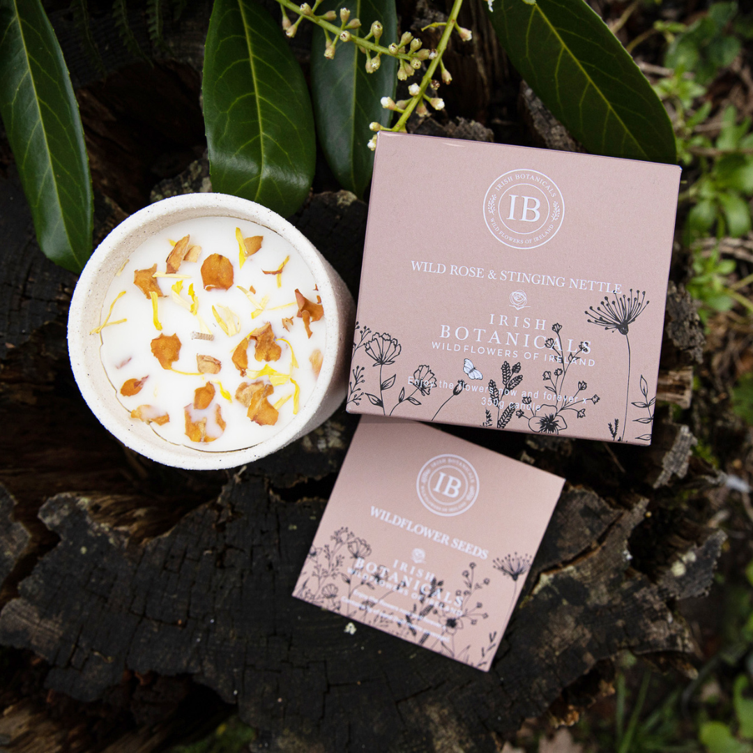 Fabulous Gifts Irish Botanicals Wildflower Rose & Stinging Nettle Ceramic Candle by Weirs of Baggot Street