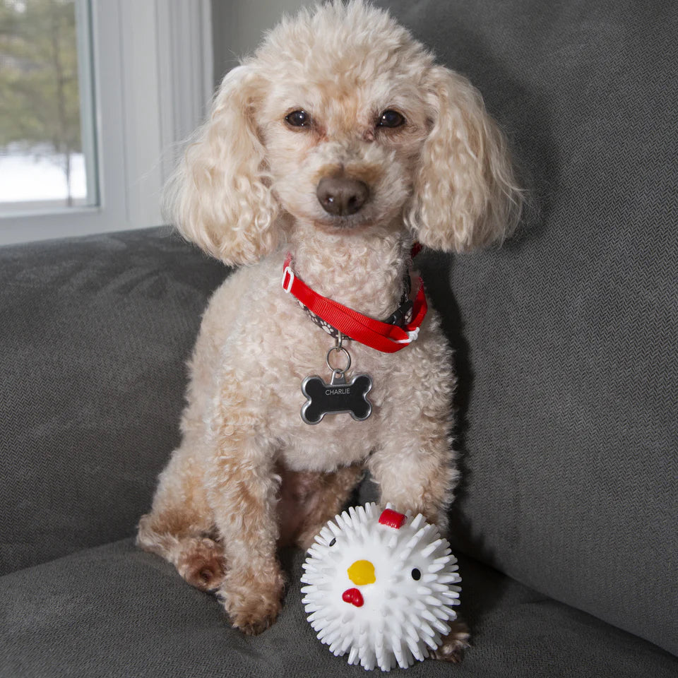 Fabulous Gifts Kikkerland Chicken Dog Ball by Weirs of Baggot Street