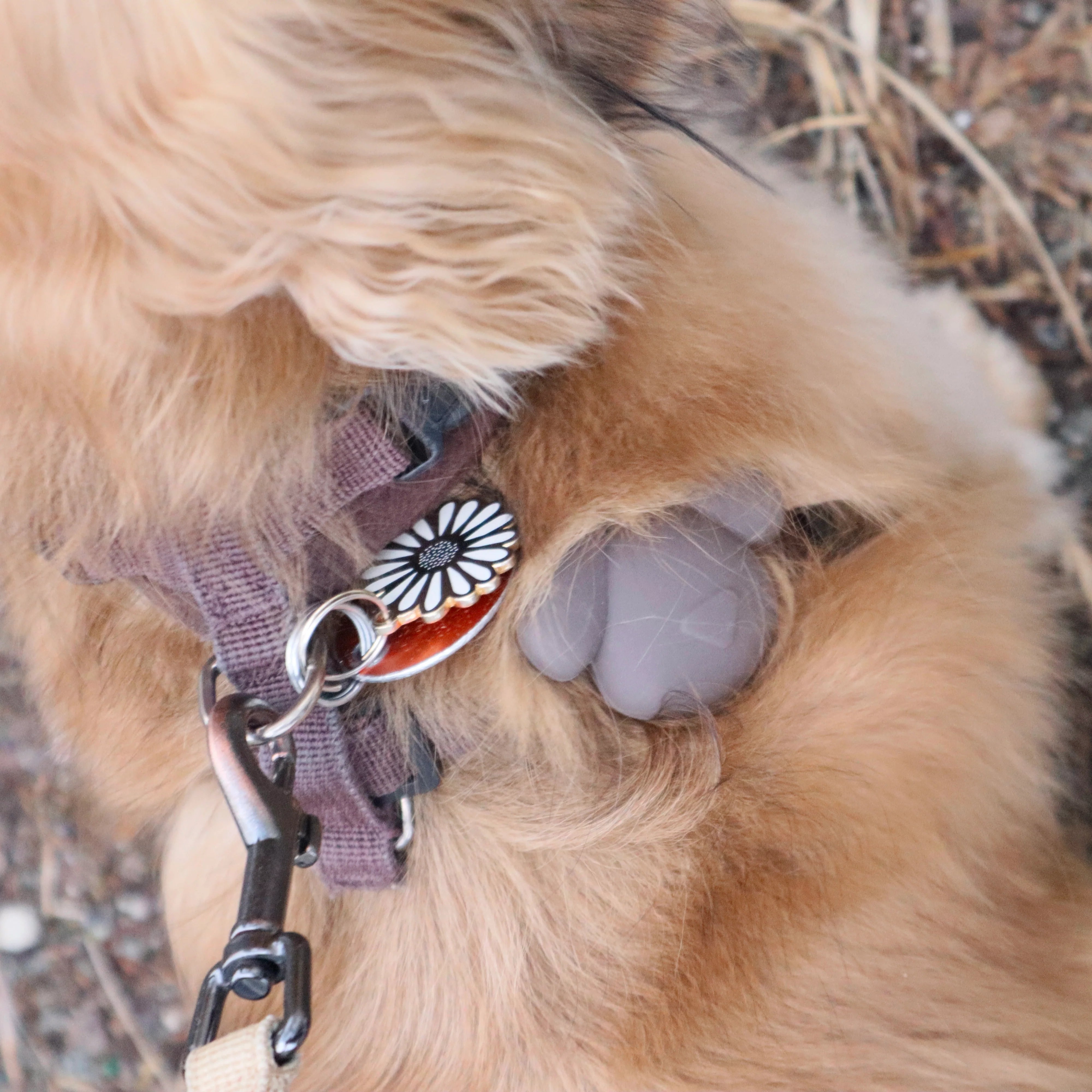 Fabulous Gifts Kikkerland Kobe-Tag by Weirs of Baggot Street