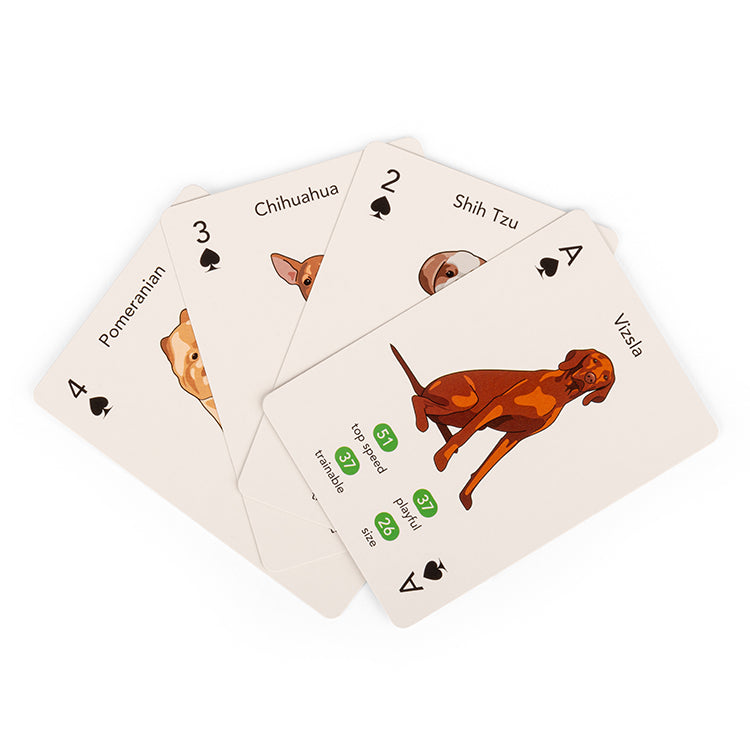 Kikkerland Paws & Play Playing Cards