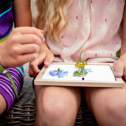 Fab Gifts | Kikkerland Pressed Flower Frame by Weirs of Baggot Street