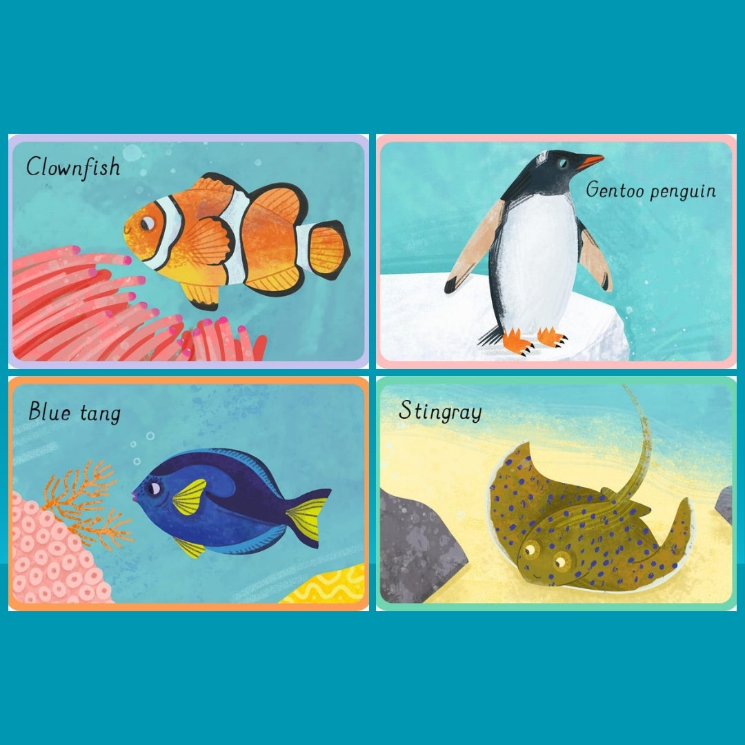 Little Bookworms _ Ocean Snap! - Allsorted Snap series Katie Rewse by Weirs of Baggot Street