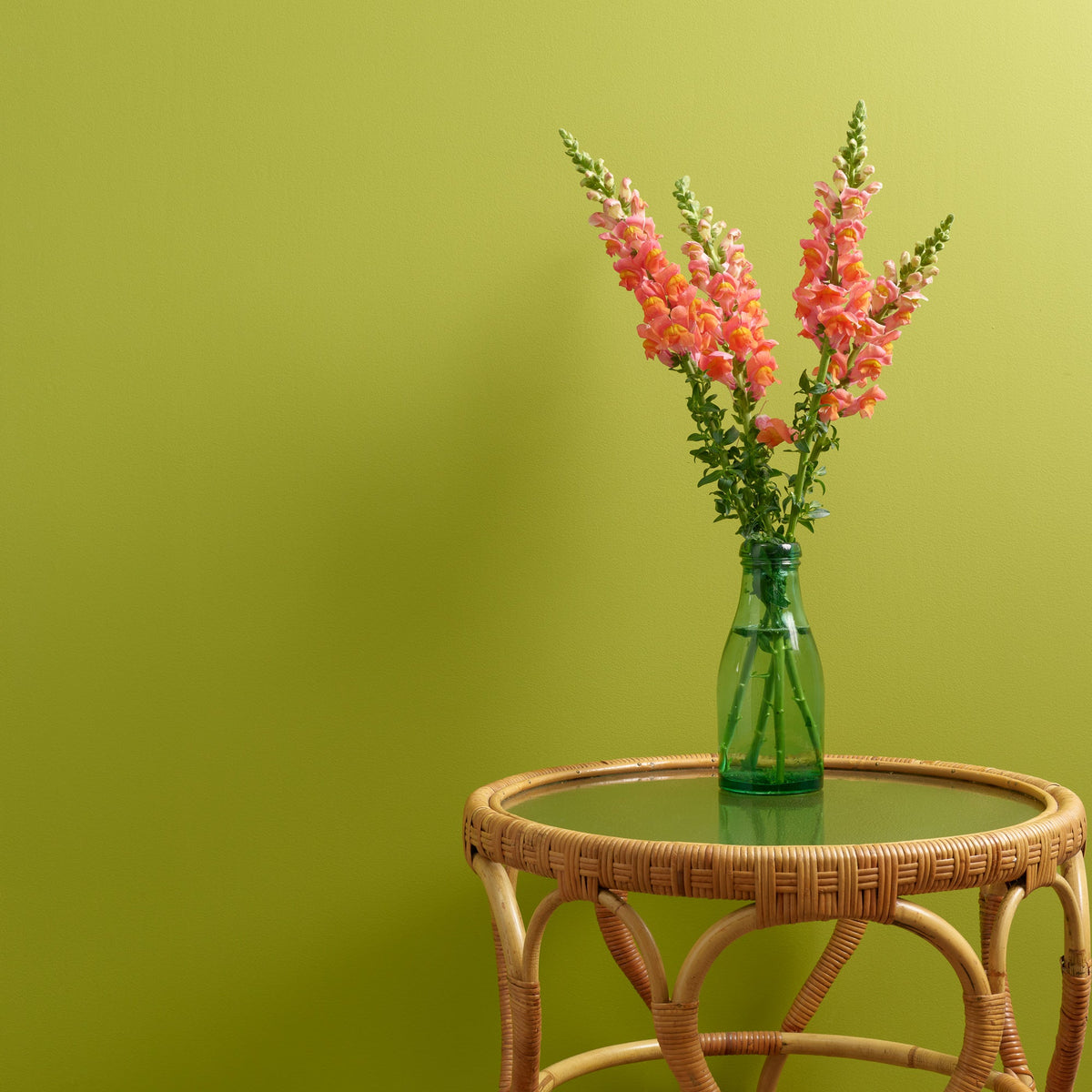 Lime Light - Peel and Stick Paint Sample