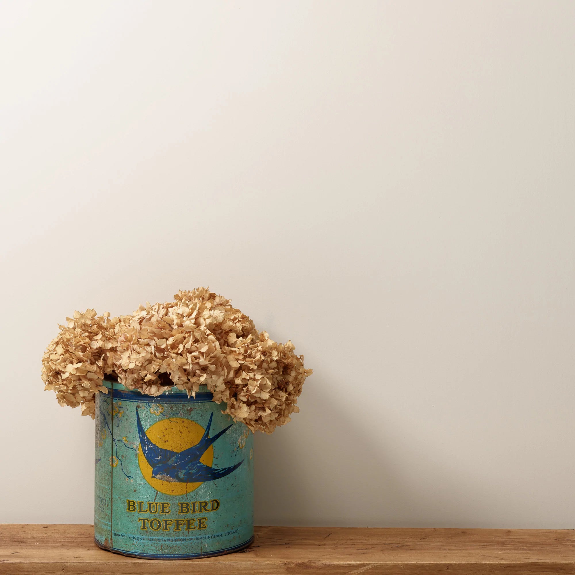 Frenchic Paint | Corker Wall Paint Sample by Weirs of Baggot Street