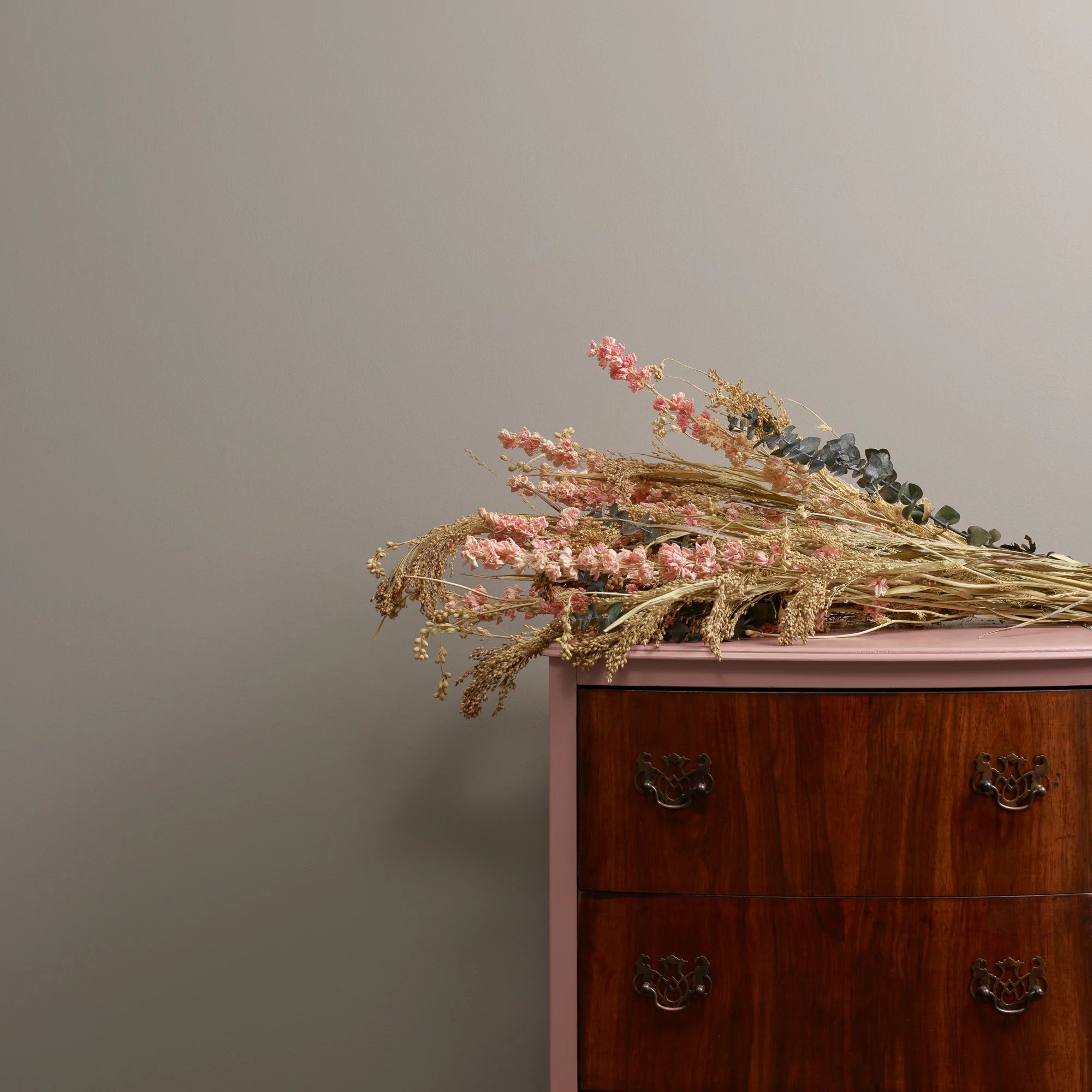 Frenchic Paint | Posh Nelly Wall Paint Sample by Weirs of Baggot Street