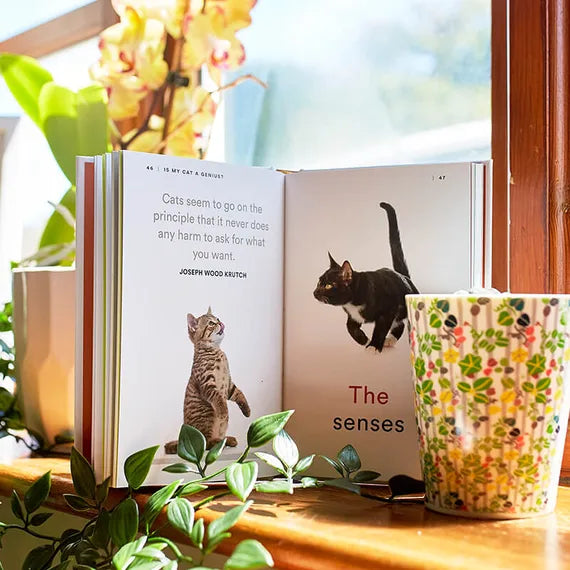 Brilliant Books | Is My Cat a Genius by Weirs of Baggot Street