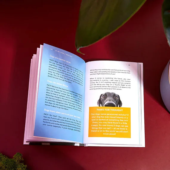 Brilliant Books | Is My Dog a Genius by Weirs of Baggot Street