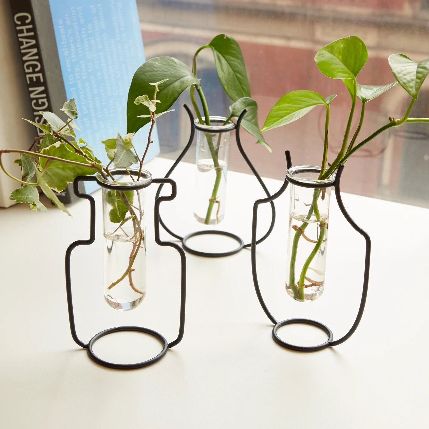 Fabulous Gifts | Kikkerland - Geo Vase Propagation Station by Weirs of Baggot Street