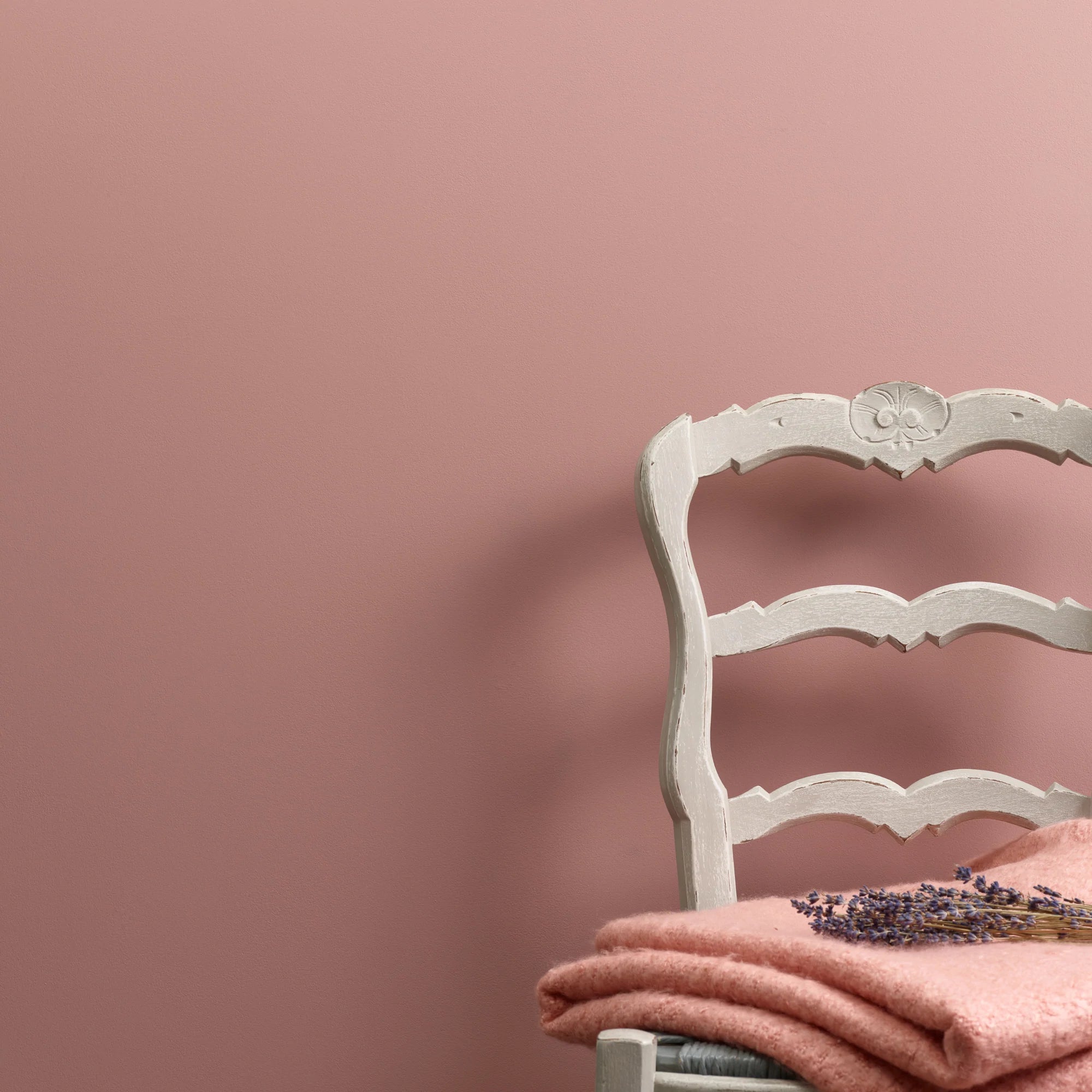 Frenchic Paint | Last Dance Chalk Wall Paint by Weirs of Baggot St