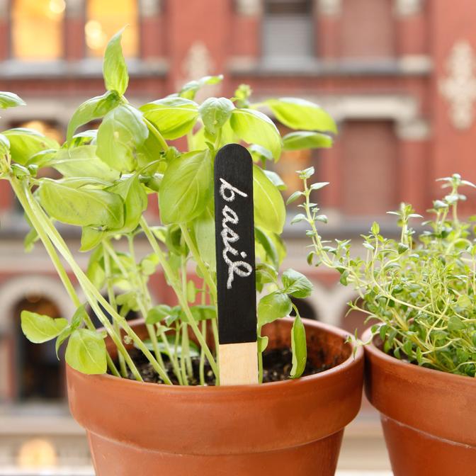 Kikkerland Reusable Garden Markers