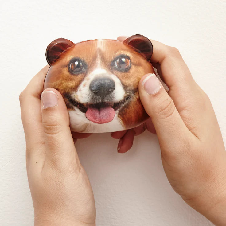 Fab Gifts | Kikkerland - Dog Stress Balls by Weirs of Baggot St