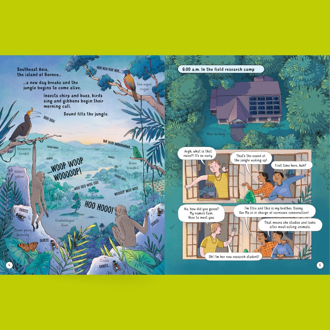 Usborne 24 Hours in the Jungle - Little Bookworms by Weirs of Baggot Street