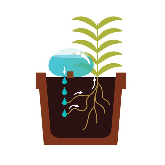 kikkerland-Water from a Stone