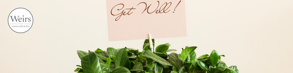 Get Well Soon Gifts Collection Gifts by Weirs of Baggot St Home Gift and Hardware DIY