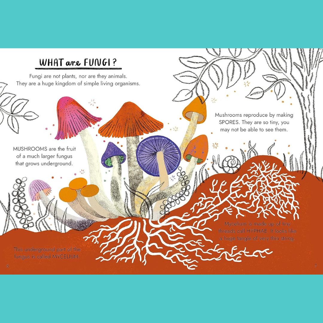 Brilliant Books | Hello Fungi: A Little Guide To Nature by Nina Chakrabarti by Weirs of Baggot Street