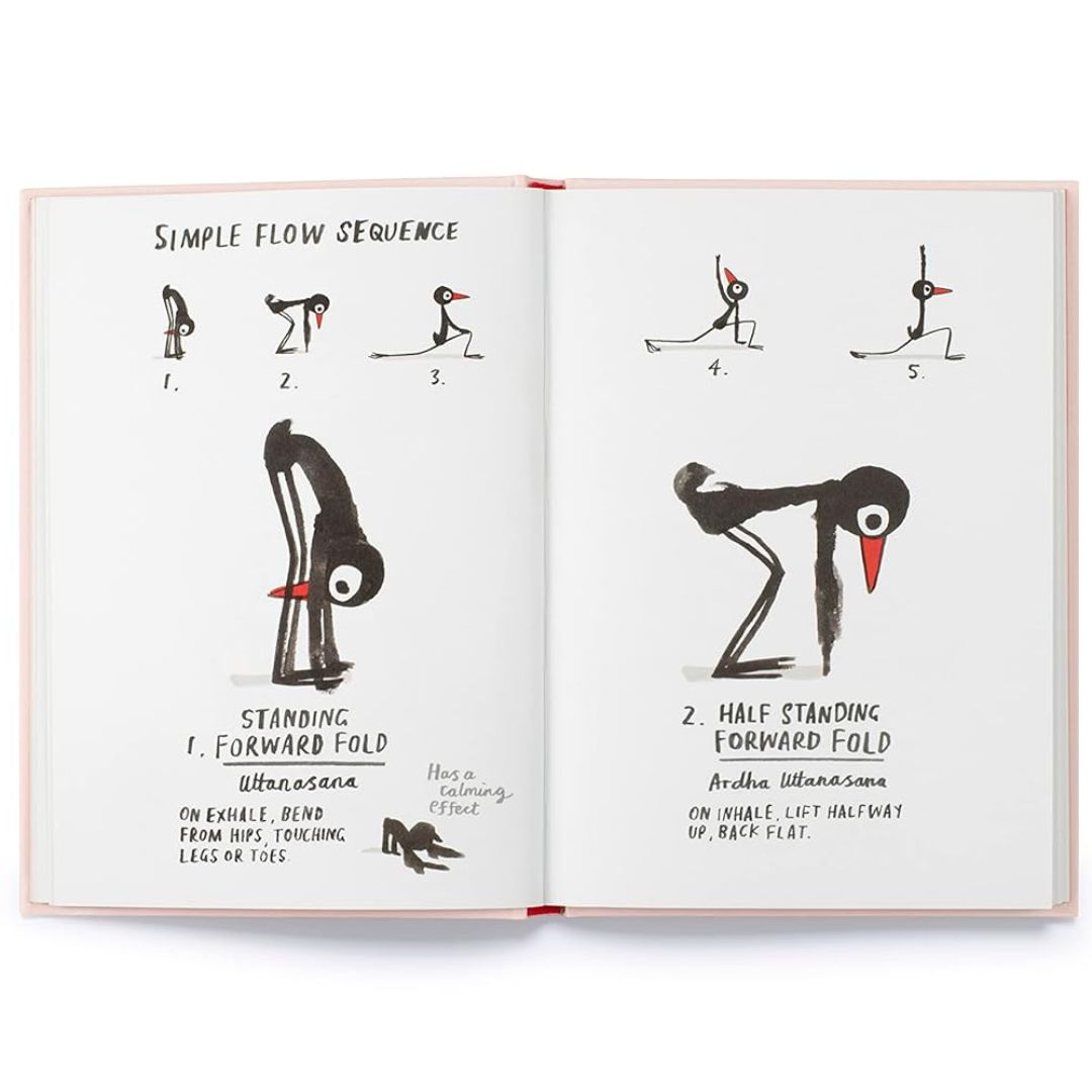 Brilliant Books | Yoga For Stiff Birds  by Weirs of Baggot Street