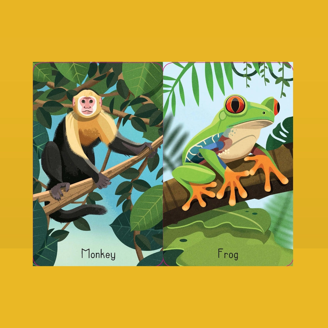 Bubs & Kids Little Bookworms Usborne Snap Cards Jungle by Weirs of Baggot Street