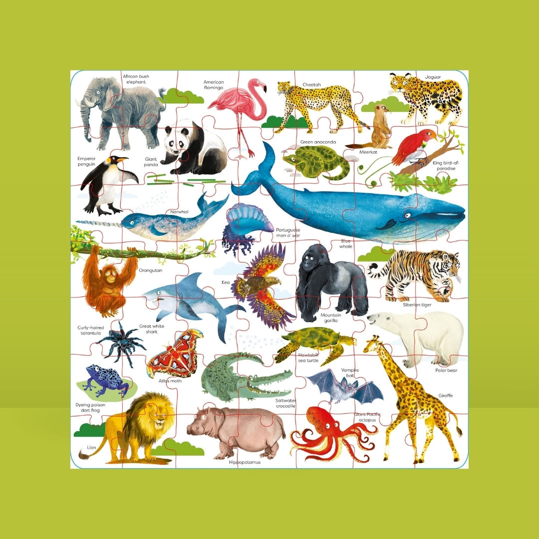 Bubs & Kids Little Bookworms Usborne Wild Animals Jigsaw Book by Weirs of Baggot Street