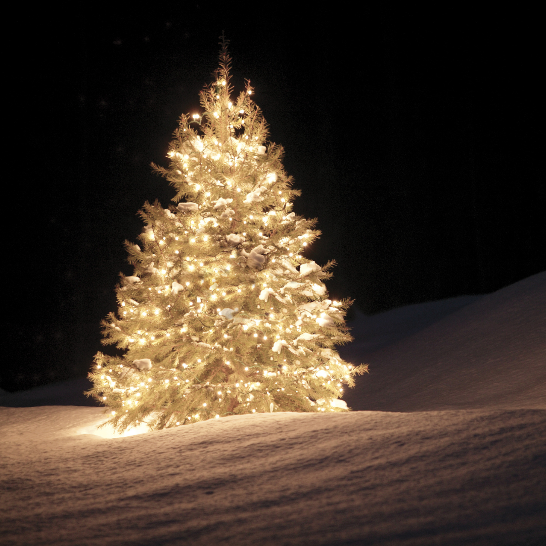 Christmas Lights 400 Battery Operated Multi Action LED with Timer Warm White by Weirs of Baggot Street