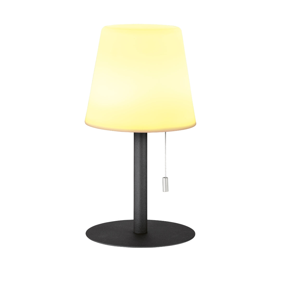 Clever Gadgets FH Lighting Outdoor LED Table Lamp Antracite by Weirs of Baggot Street