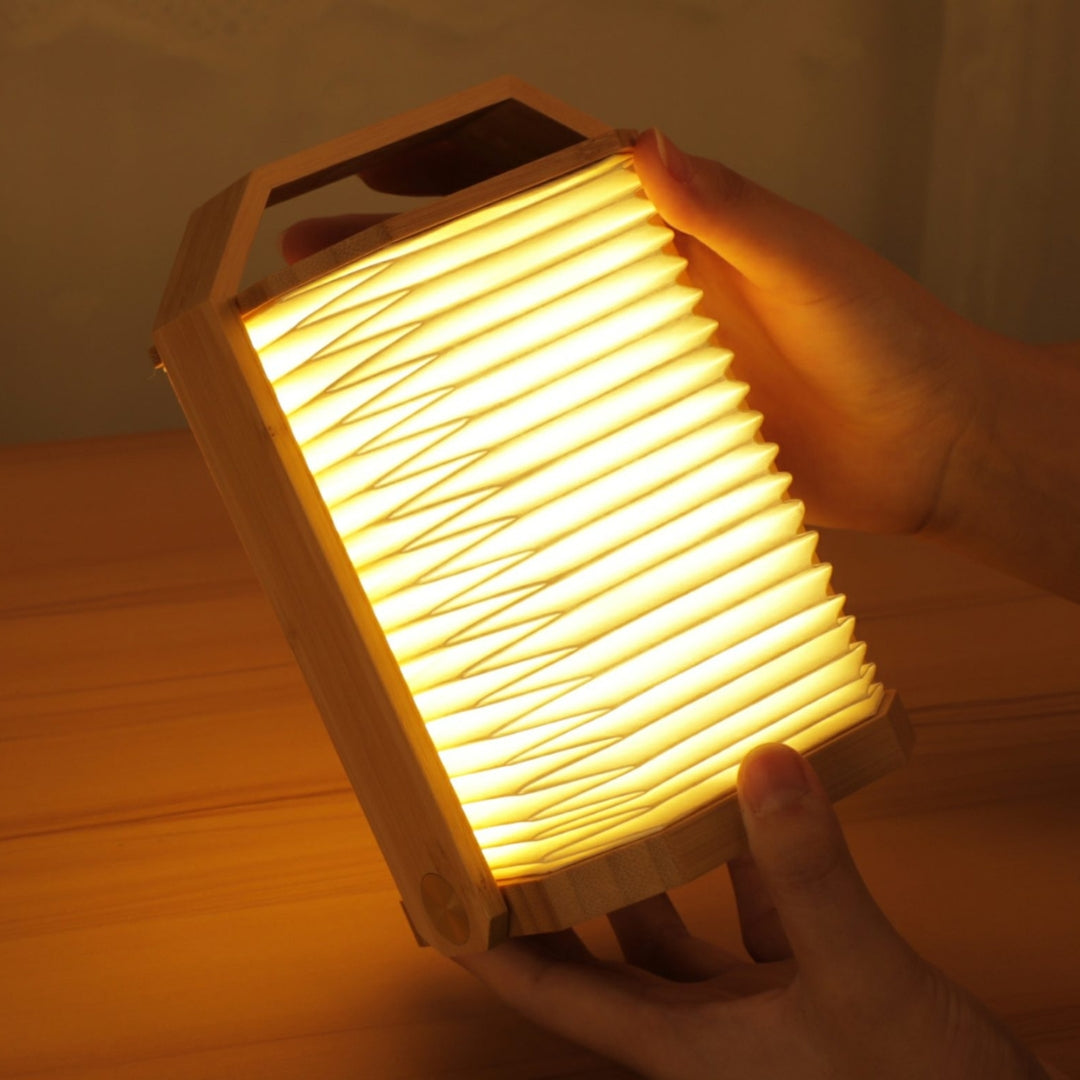 Clever Gadgets Gingko Design Smart Origami Lamp Bamboo by Weirs of Baggot Street