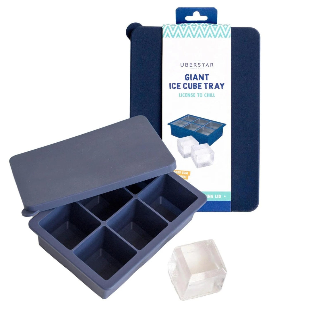 Fab Gifts | Bar & Drinks Giant Ice Cube Tray by Weirs of Baggot Street