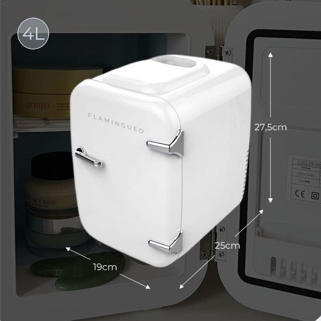 Fab Gifts | Brienne Mini Fridge Portable Retro White 4L by Weirs of Baggot Street