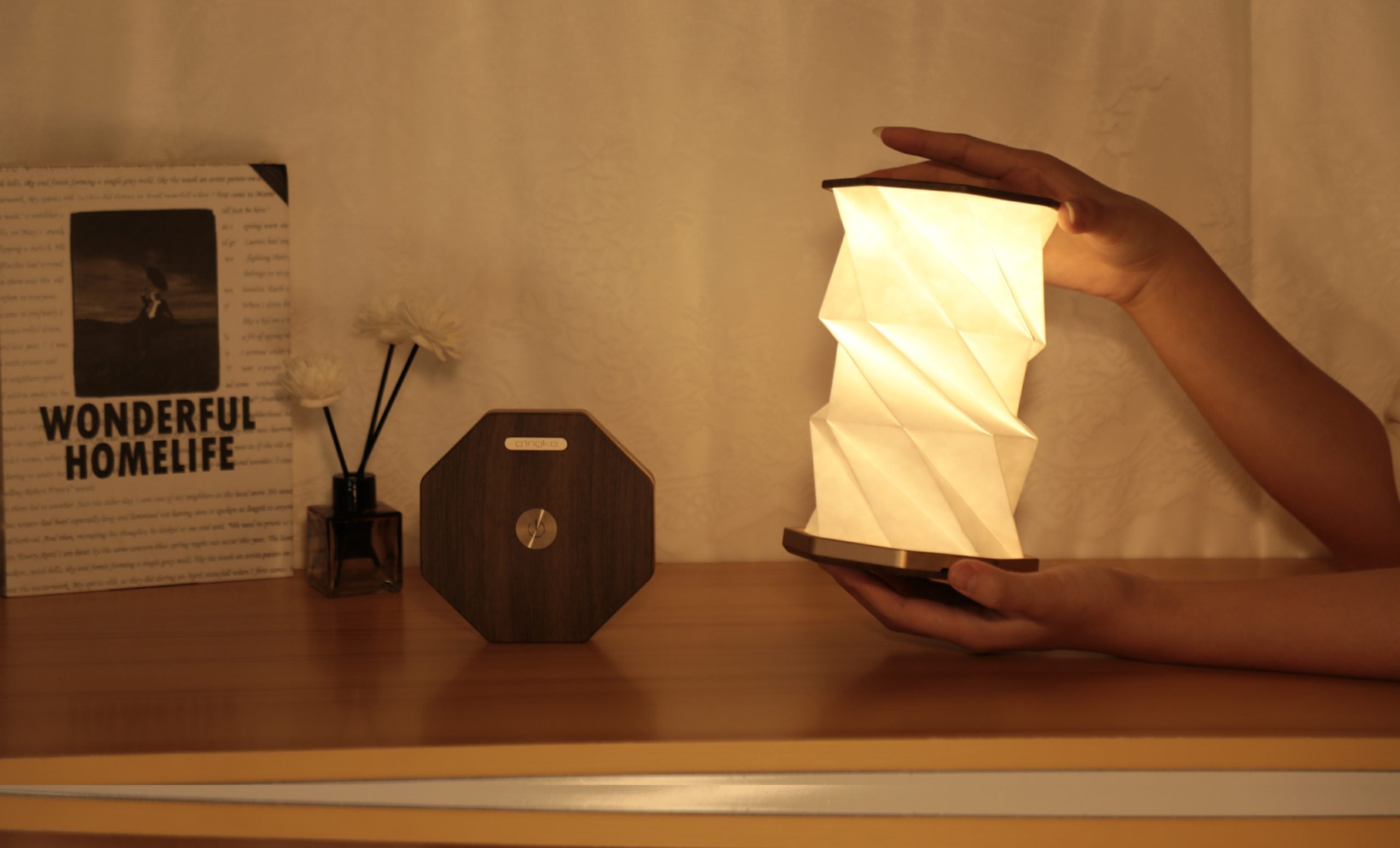 Fabulous Gifts Gingko Design Twist Hexagon Lamp Walnut by Weirs of Baggot Street