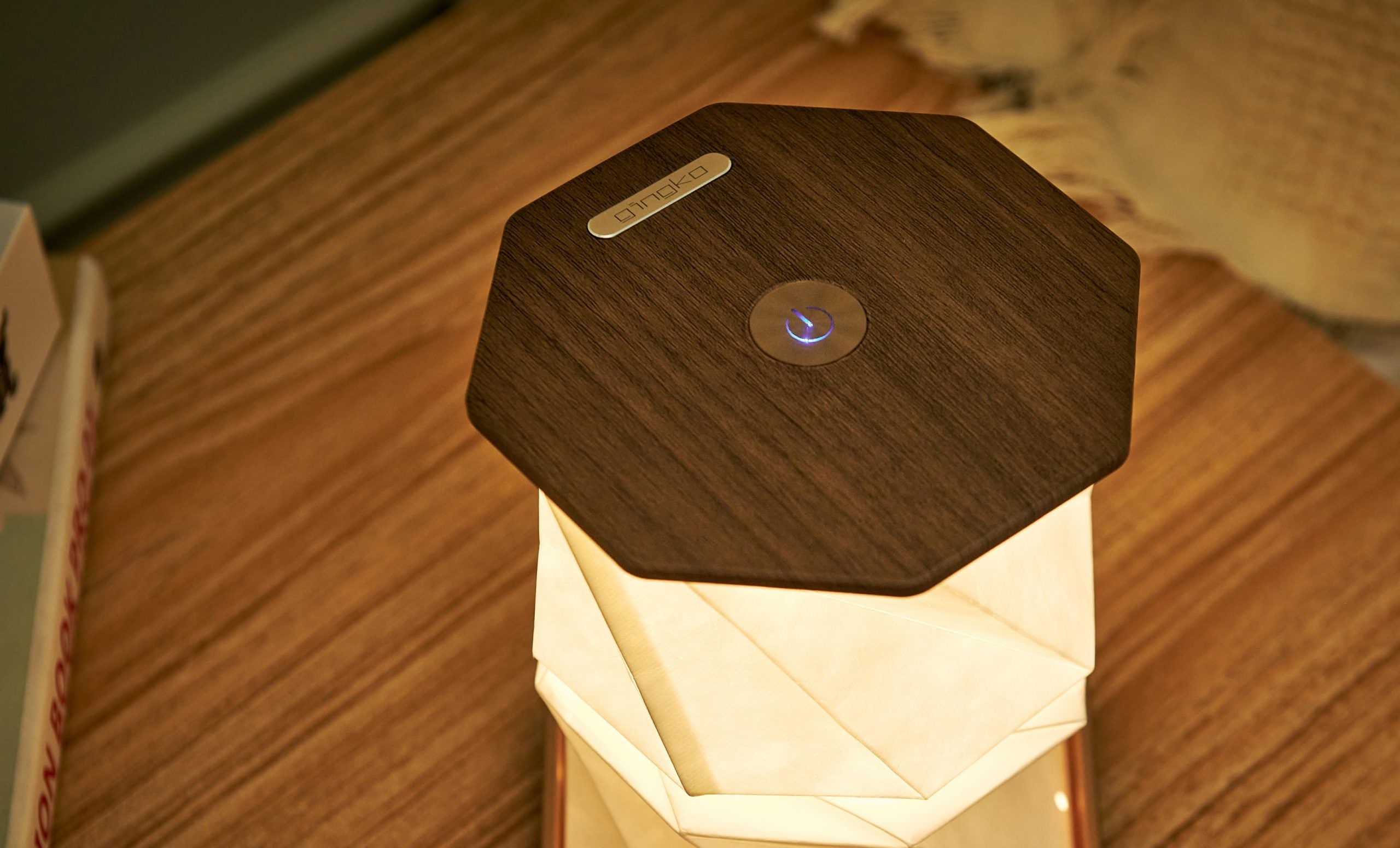 Fabulous Gifts Gingko Design Twist Hexagon Lamp Walnut by Weirs of Baggot Street