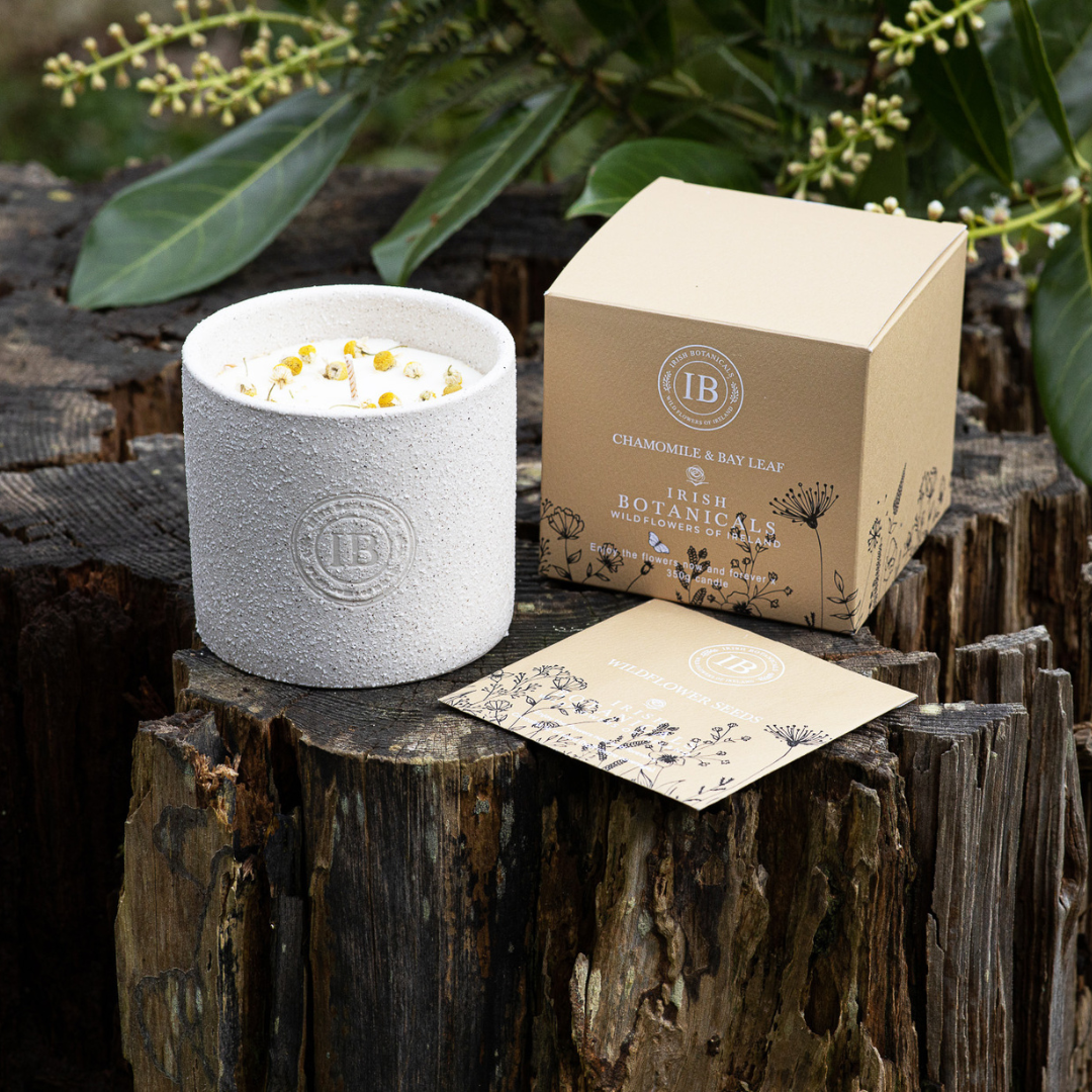 Fabulous Gifts Irish Botanicals Wildflower Chamomile And Bayleaf Ceramic Candle by Weirs of Baggot Street