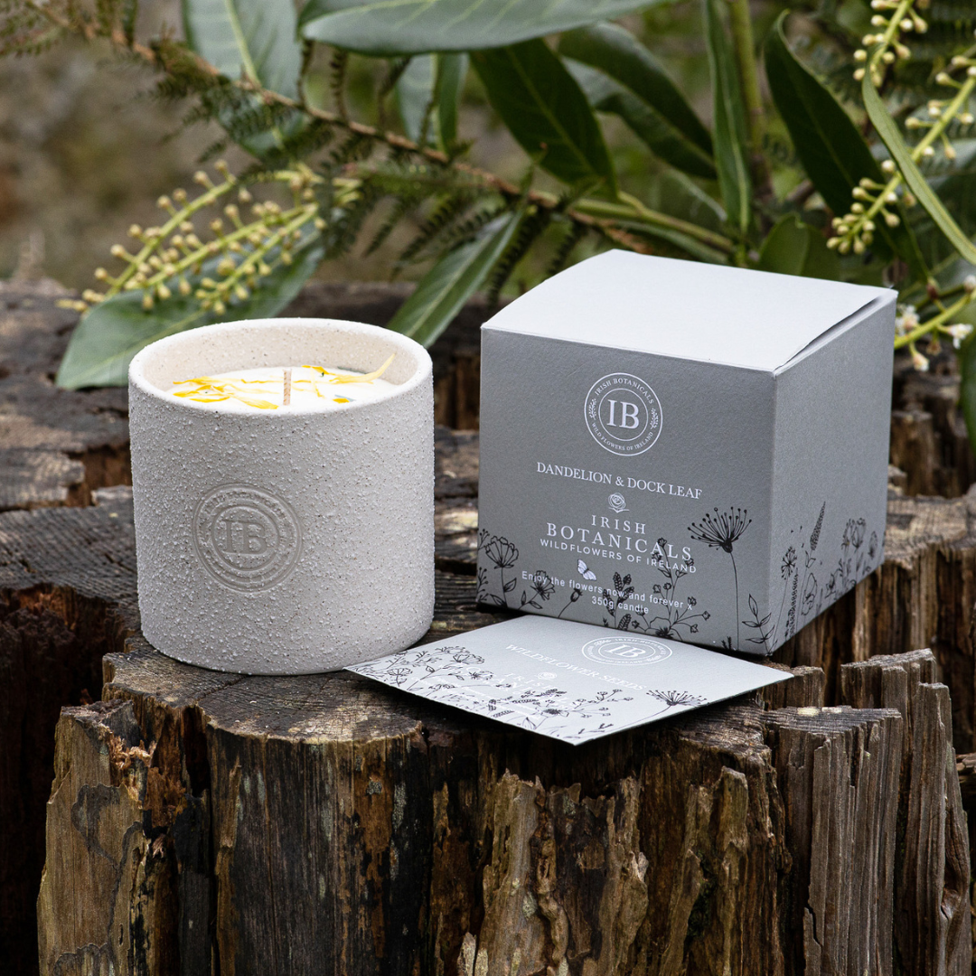 Fabulous Gifts Irish Botanicals Wildflower Dandelion & Dock Leaf  Ceramic Candle by Weirs of Baggot Street