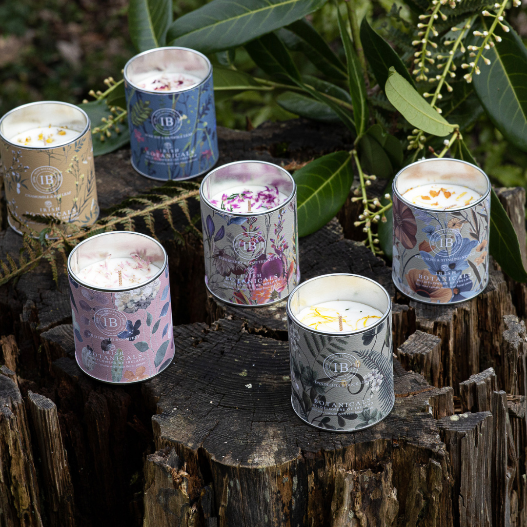 Fabulous Gifts Irish Botanicals Wildflower Dandelion & Dock Leaf  Ceramic Candle by Weirs of Baggot Street