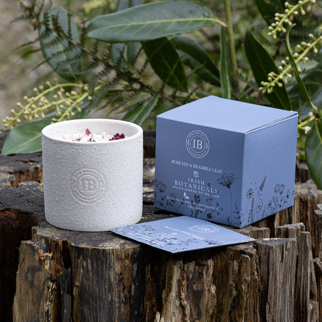 Fabulous Gifts Irish Botanicals Wildflower Rosehip & Bramble Leaf Ceramic Candle by Weirs of Baggot Street