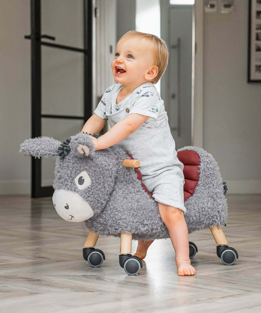 Fabulous Gifts Little Bird Told Me Bojangles Donkey Ride On Toy by Weirs of Baggot Street