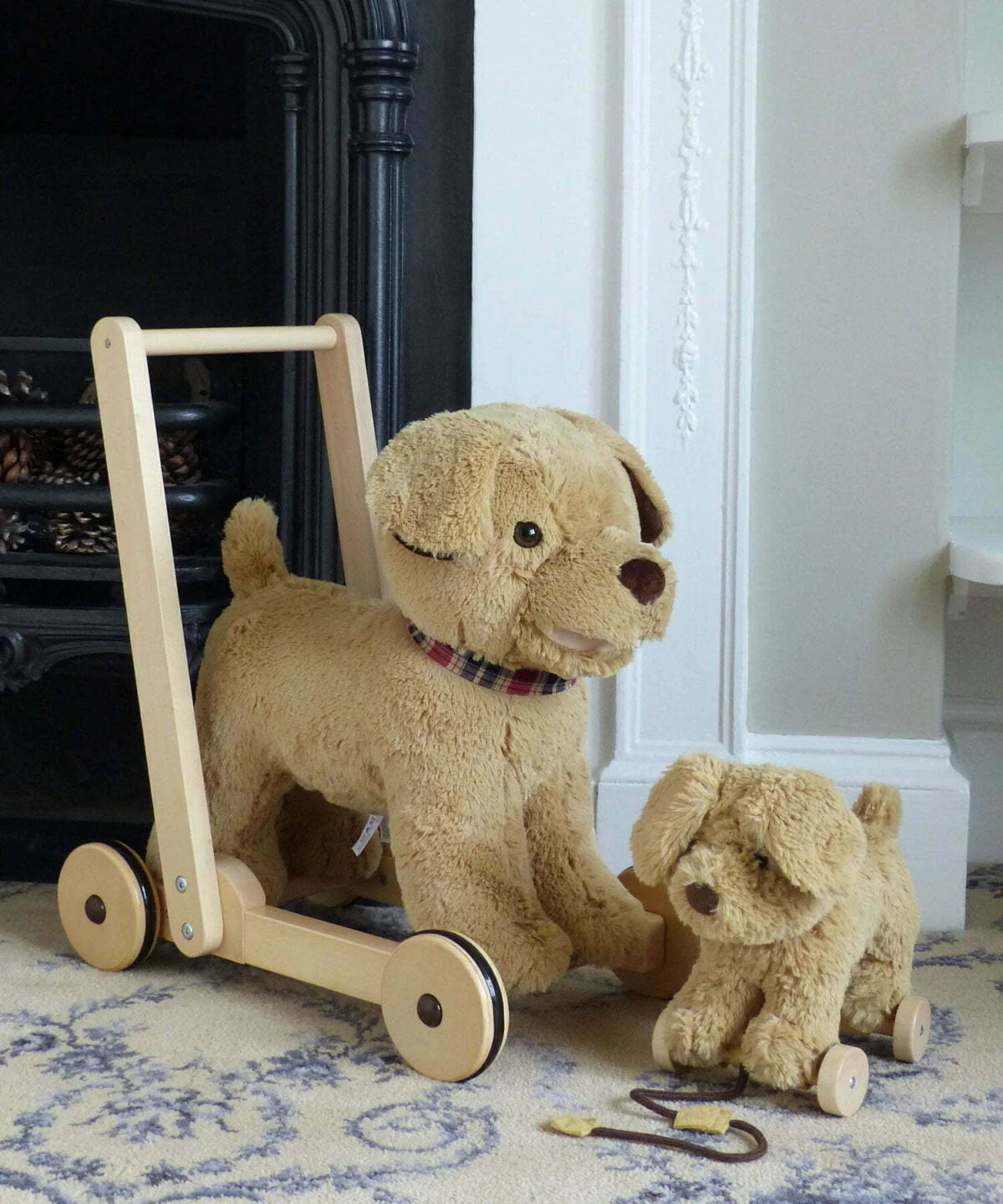 Fabulous Gifts Little Bird Told Me Dexter Dog Baby Walker / Push Along Toy by Weirs of Baggot Street