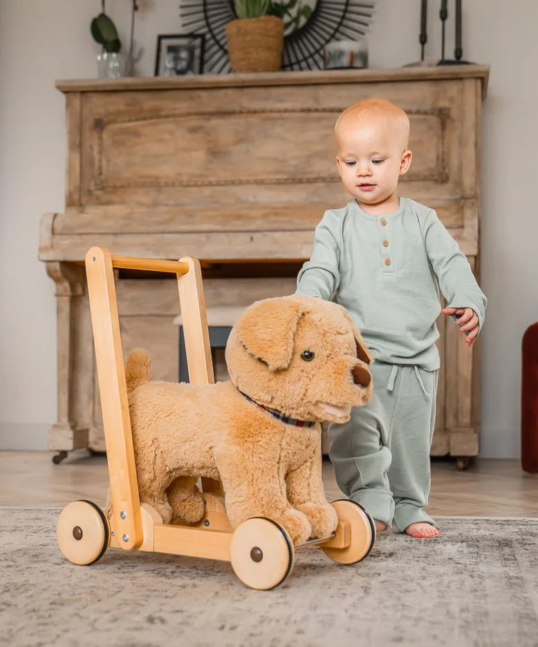 Fabulous Gifts Little Bird Told Me Dexter Dog Baby Walker / Push Along Toy by Weirs of Baggot Street