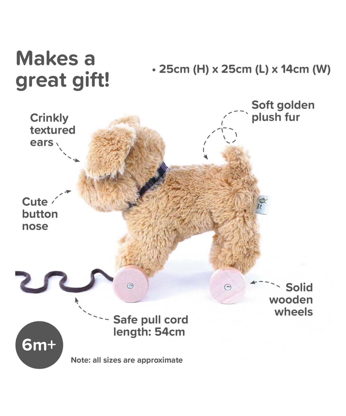 Fabulous Gifts Little Bird Told Me Dexter Dog Pull Along Toy by Weirs of Baggot Street