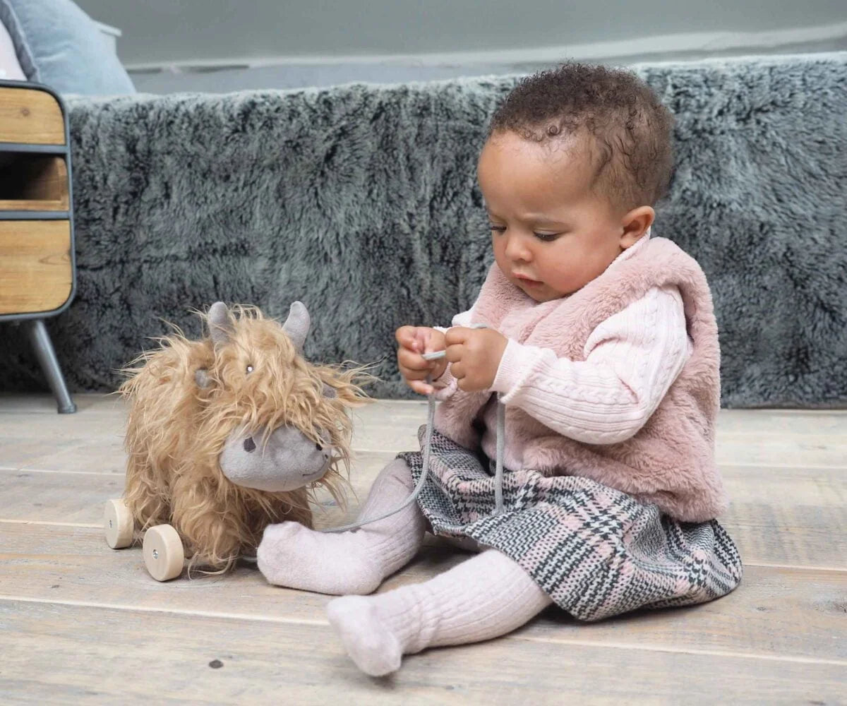 Fabulous Gifts Little Bird Told Me Hubert Highland Cow Pull Along Toy by Weirs of Baggot Street