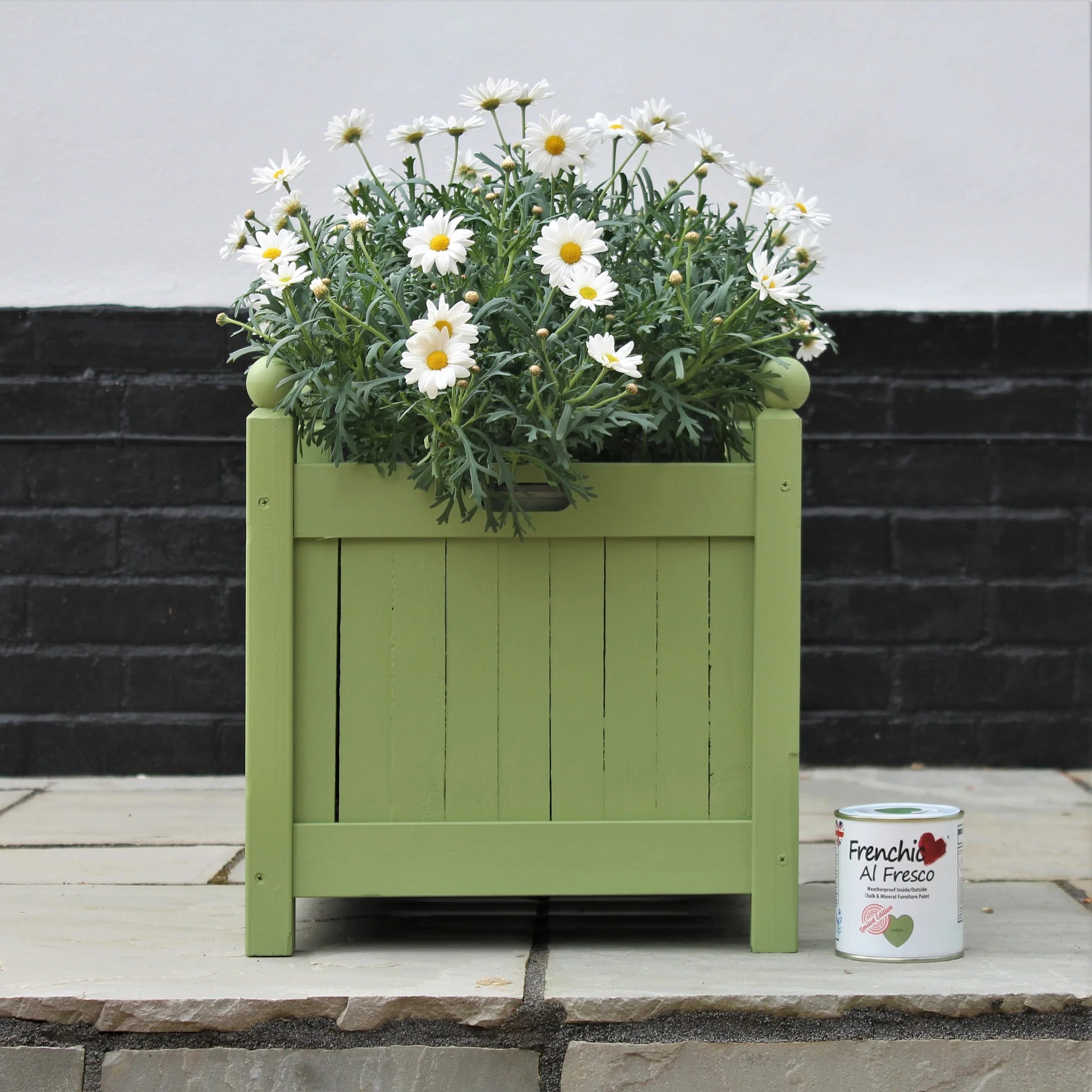 Frenchic Paint | Matcha Al Fresco Limited Edition by Weirs of Baggot Street