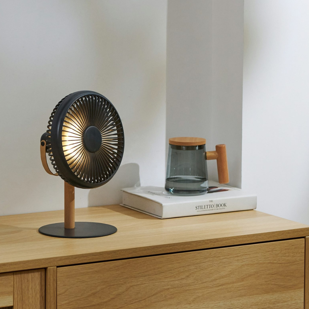 Gingko Design | Beyond Desk Fan Smart Grey by Weirs of Baggot Street