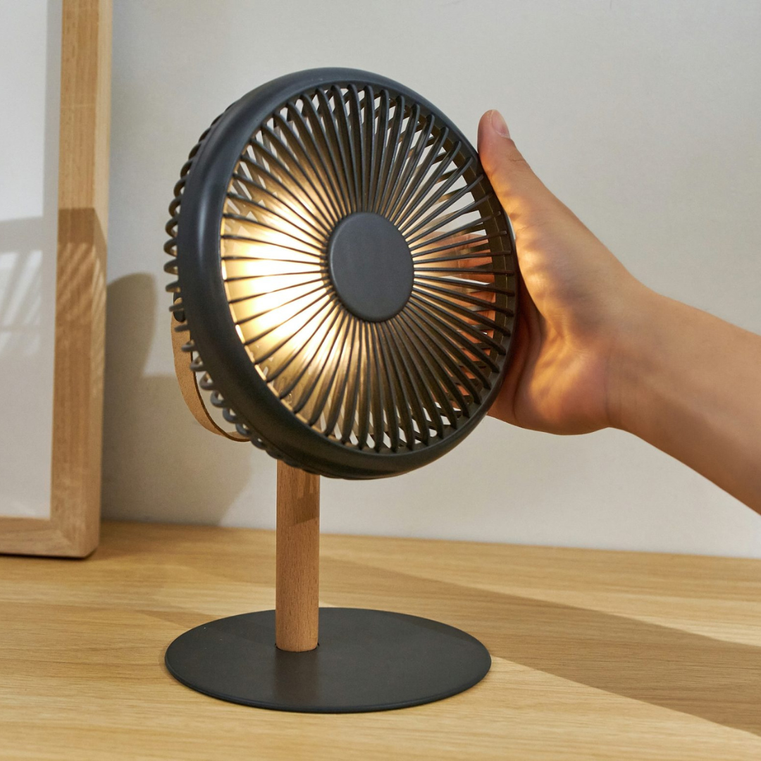 Gingko Design | Beyond Desk Fan Smart Grey by Weirs of Baggot Street