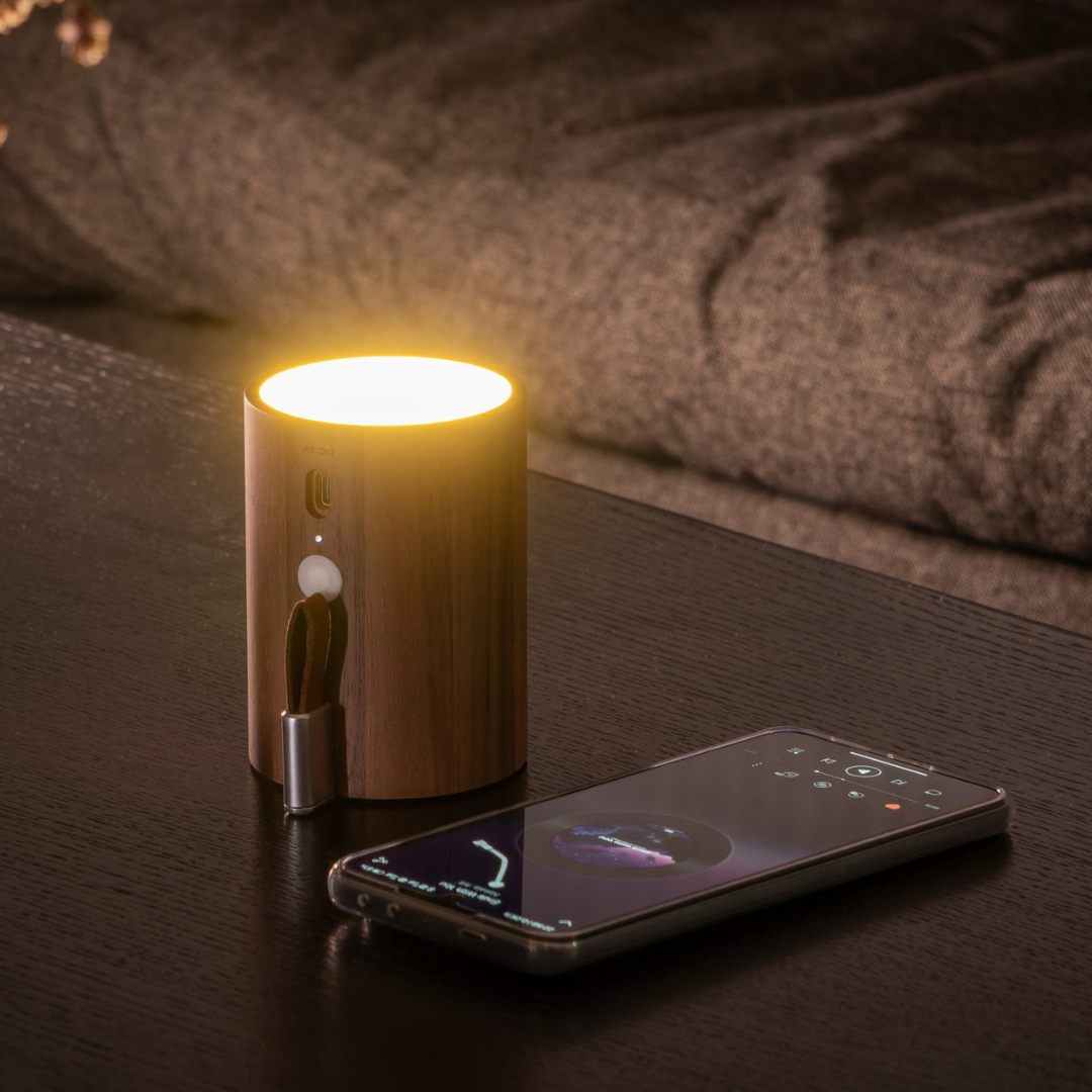 Gingko Design | Drum Light Bluetooth Speaker Walnut by Weirs of Baggot Street